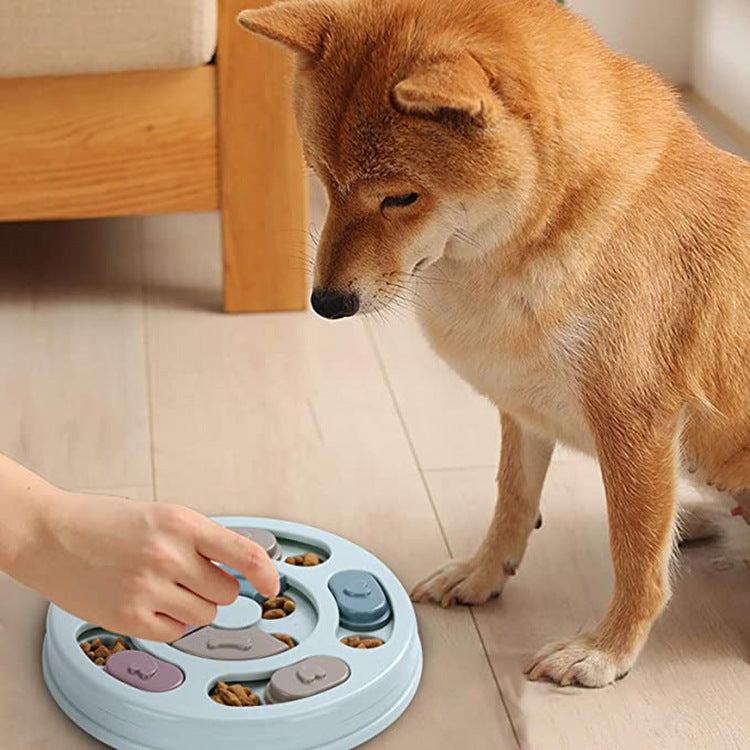 Manufacturers Stock Household Pets Dog Puzzle Feeding Bowls Dog Puzzles Feeding Bowls - Bottega Happy Products