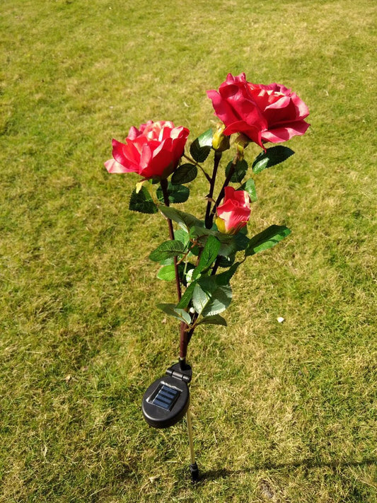 Solar rose lamp 3LED plug in the sun nen light garden garden light lawn light - Bottega Happy Products